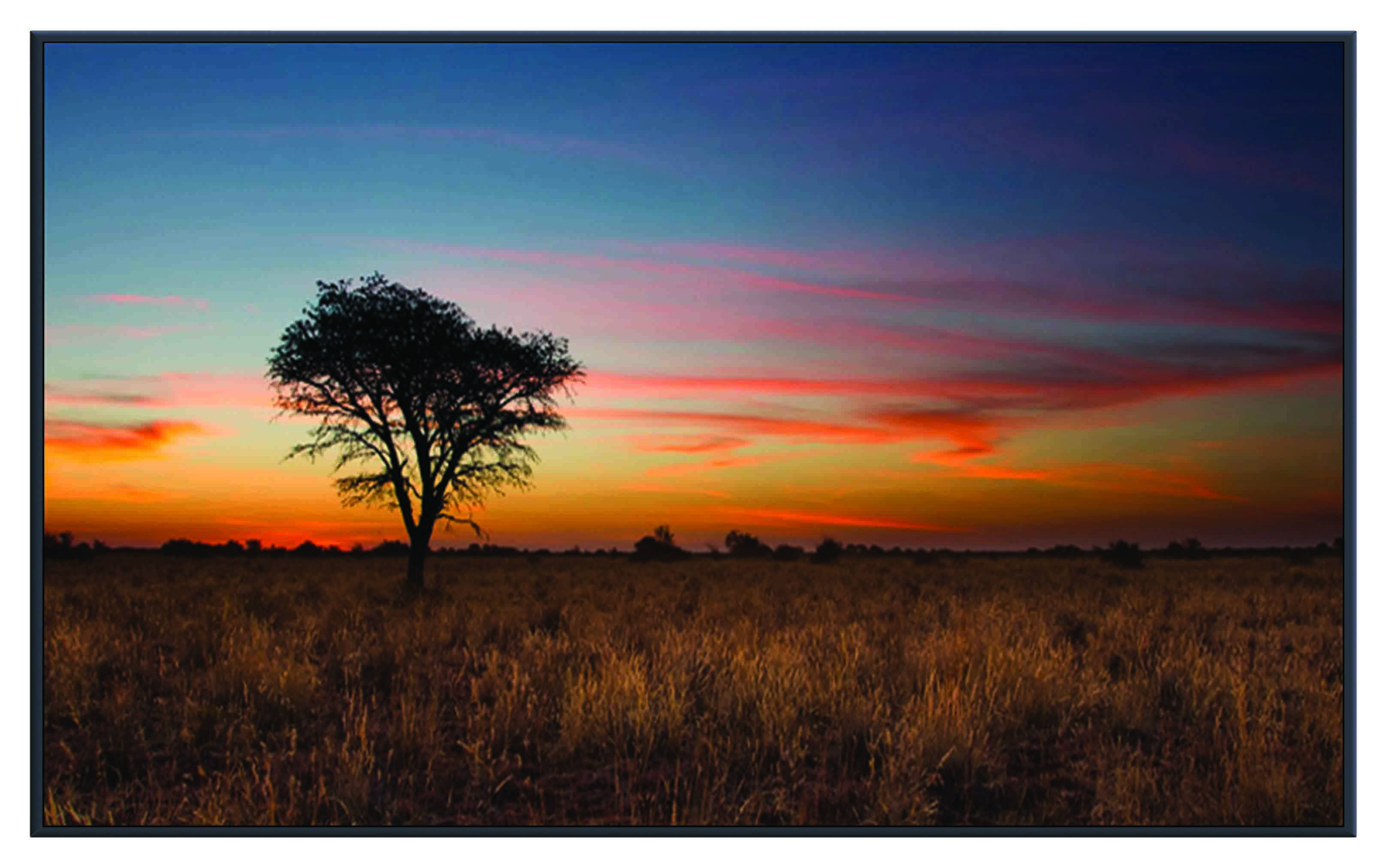 ASG205 Wall décor art printed on glass landscape